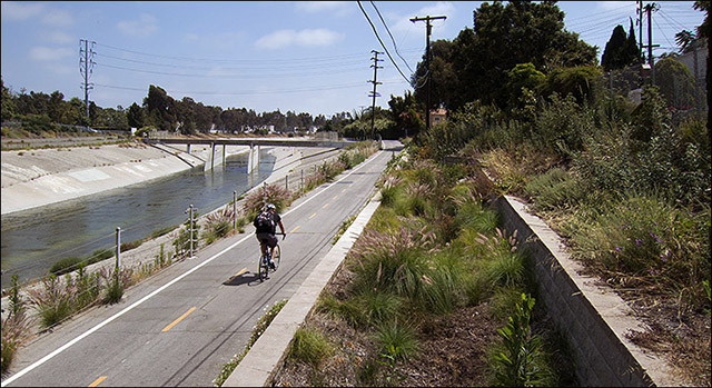 Bioswale alongside Ballona Creek bikepath in Culver City