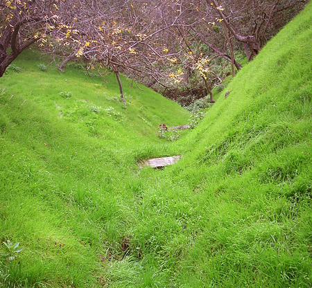 Lost glen off La Cuesta in the Hollywood Hills