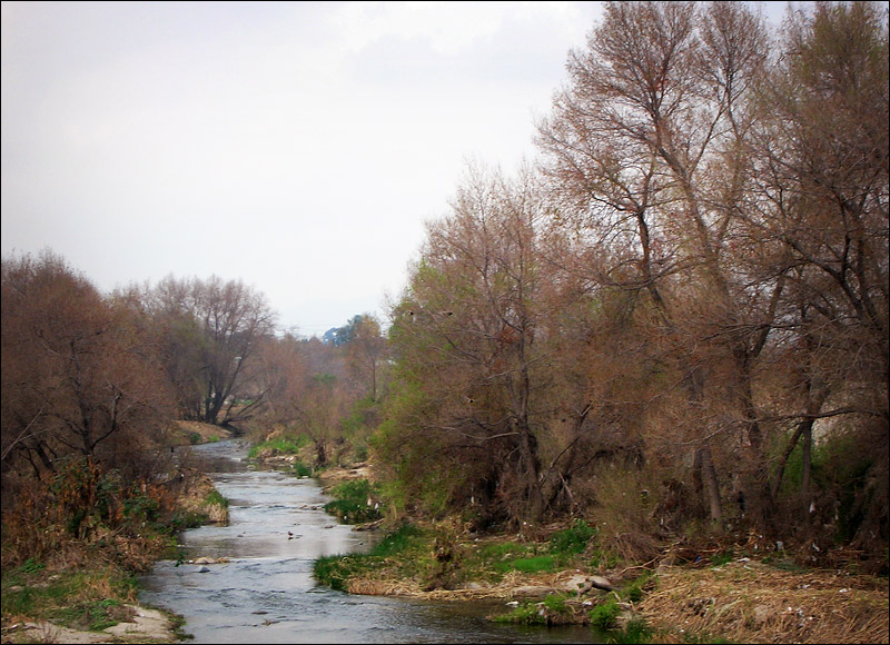 LA River, Frogtown, seen from the bike path
