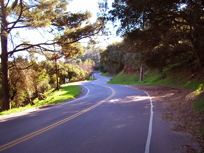 Mulhooand drive, New year's Day, 2011